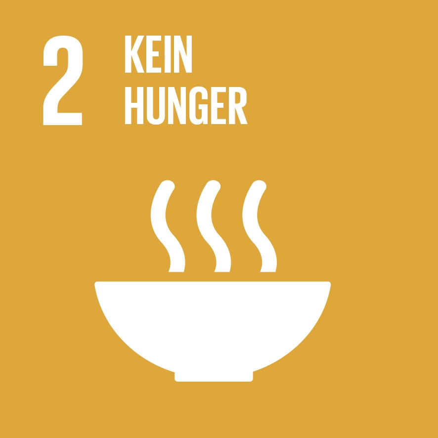 SDG Icon