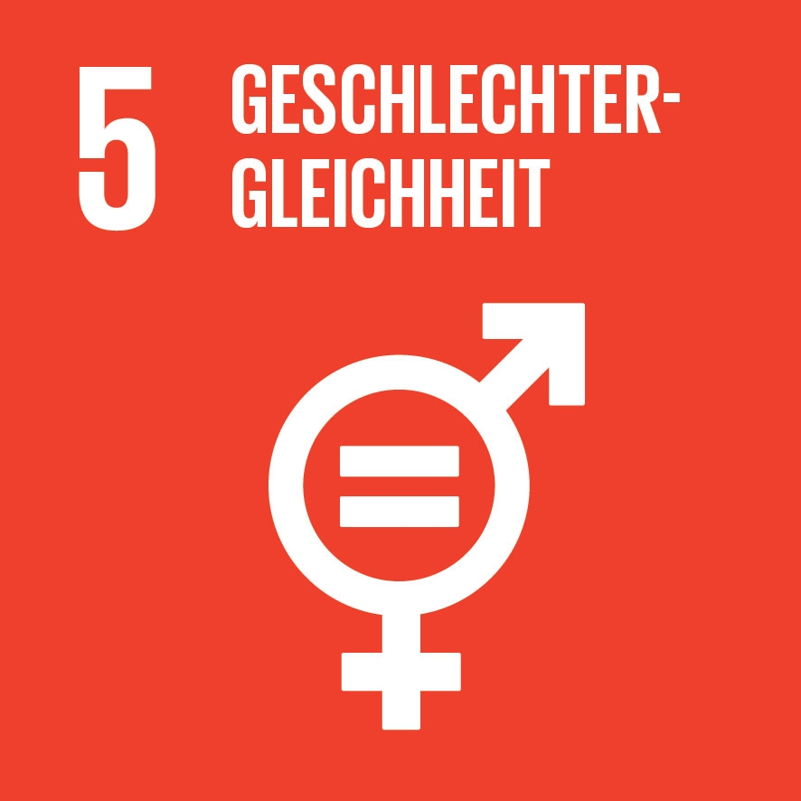 SDG Icon