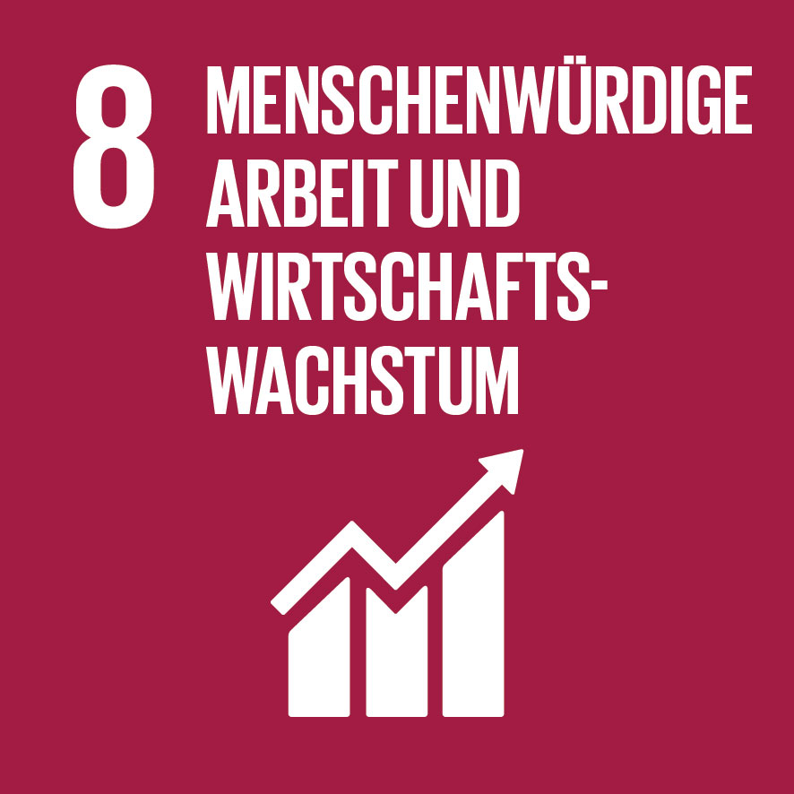 SDG Icon