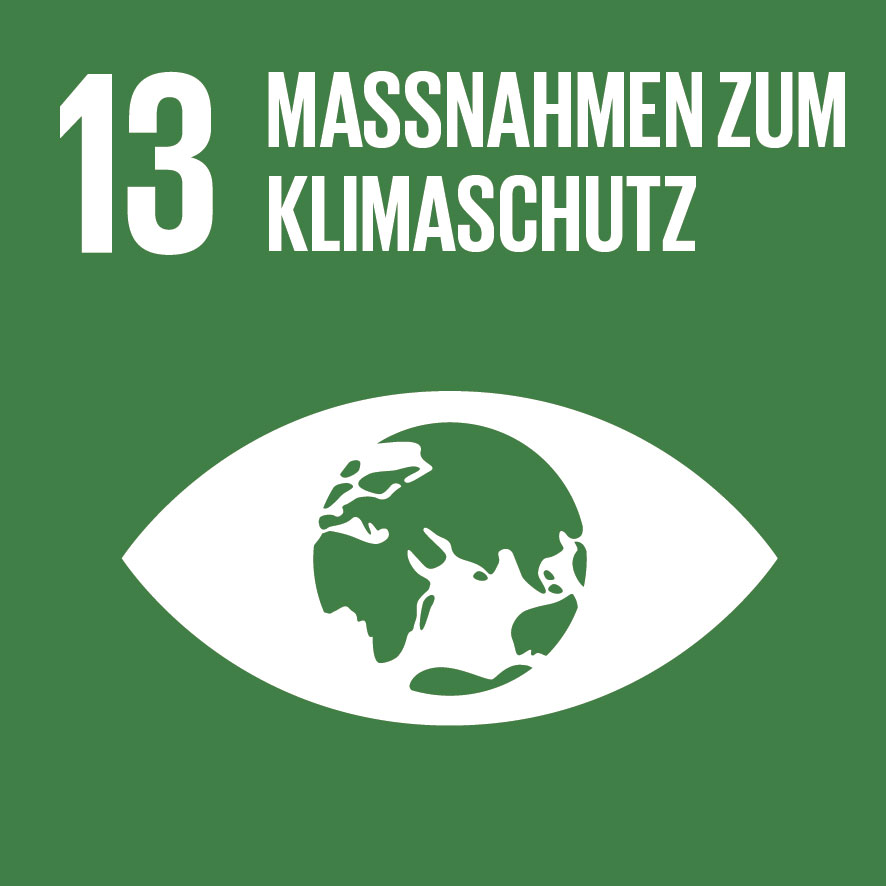 SDG Icon