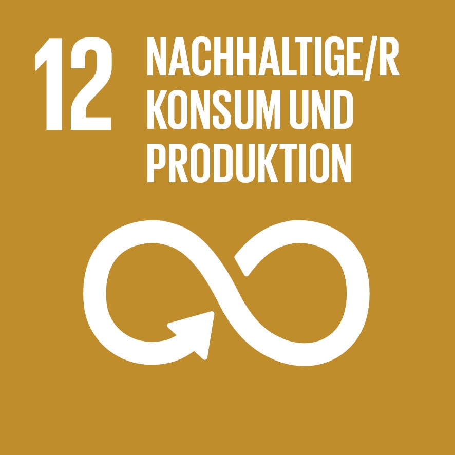 Sustainable Development Goal 12: Responsible Consumption and Production