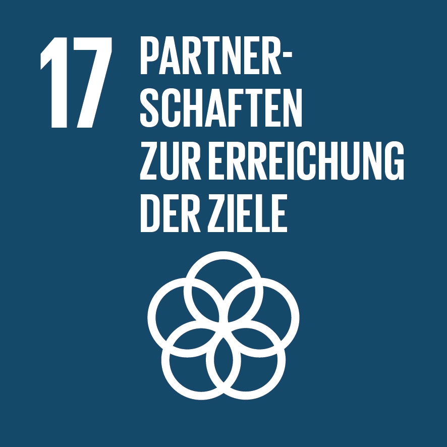 Sustainable Development Goal 17: Partnerships for the Goals
